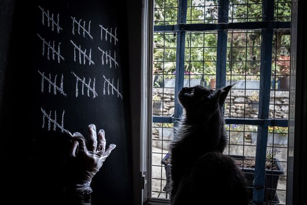 Con mèo theo dõi chủ, người đàn ông đang dùng phấn đánh dấu những ngày tự cách ly trong ngôi nhà gần Lyon, Pháp - Sputnik Việt Nam