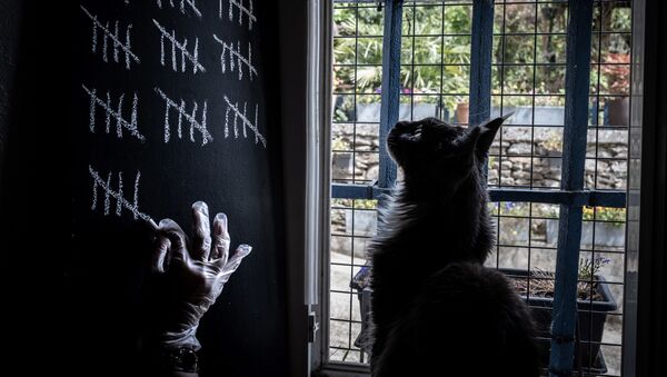 Con mèo theo dõi chủ, người đàn ông dùng phấn đánh dấu những ngày tự cách ly ở nhà, Lion, Pháp - Sputnik Việt Nam