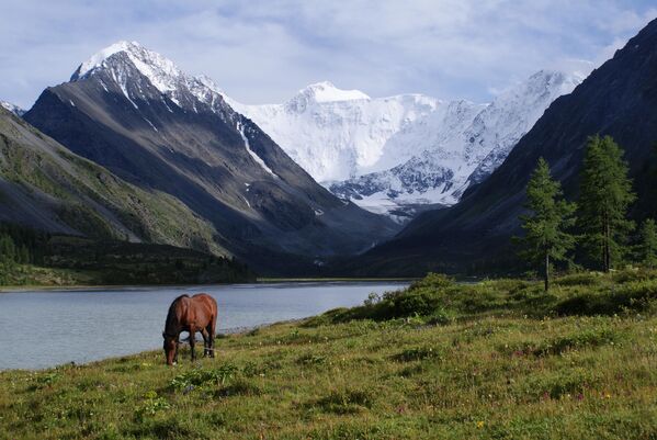 Núi Belukha ở Altai là ngọn núi cao nhất trong dãy núi Altai, đây là ngọn núi thiêng đối với người dân địa phương. Theo truyền thuyết, tên núi được đặt theo tên của người Tuyết - người khổng lồ Tai trắng. - Sputnik Việt Nam
