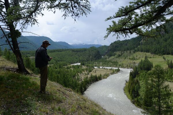 Sông Argut ở vùng Kosh-Agach thuộc Cộng hòa Altai - Sputnik Việt Nam