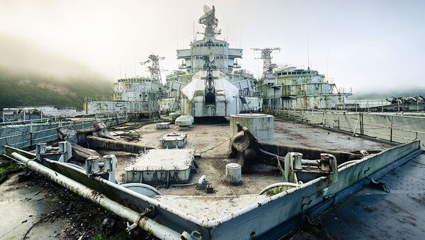 Nghĩa trang tàu hải quân được tìm thấy bởi nhiếp ảnh gia Bob Thissen - Sputnik Việt Nam