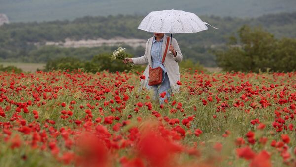 Cô gái với chiếc ô trên cánh đồng hoa anh túc ở Crưm - Sputnik Việt Nam