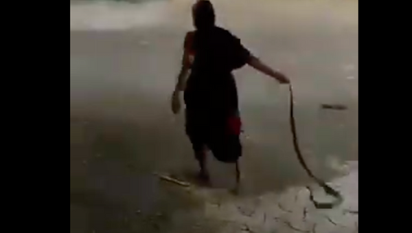Quay video cảnh một bà già dũng cảm kéo đuôi con rắn hổ mang trên đường - Sputnik Việt Nam