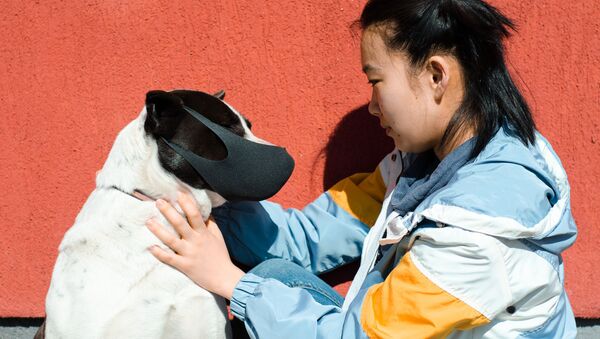 Cô gái với một con chó đeo mặt nạ trong đại dịch coronavirus - Sputnik Việt Nam