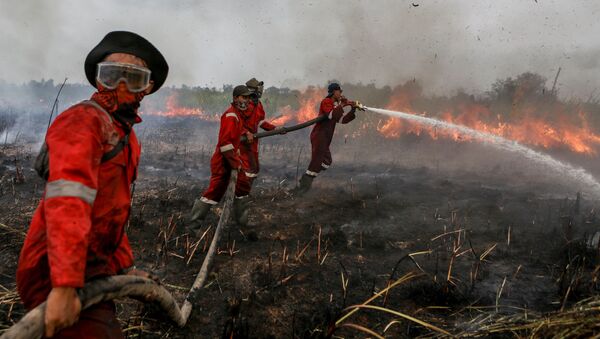 Lính cứu hỏa dập tắt đám cháy trên cánh đồng ở hạt Ogan-Ilir ở Nam Sumatra, Indonesia - Sputnik Việt Nam