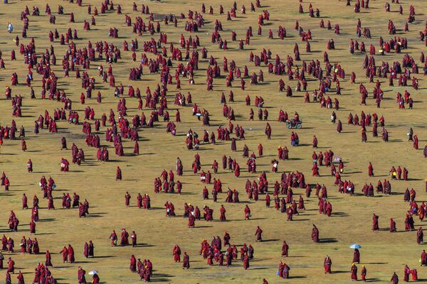 Bức ảnh Những đường nét trên cánh đồng của nhiếp ảnh gia Shinya Itahana, lọt danh sách chung khảo cuộc thi Portrait of Humanity 2020 - Sputnik Việt Nam