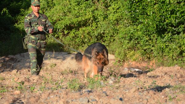 Lực lượng chức năng đưa chó nghiệp vụ đến để truy tìm đối tượng truy nã Triệu Quân Sự.  - Sputnik Việt Nam