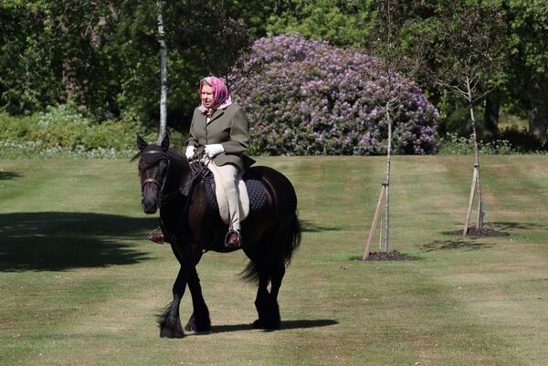 Nữ hoàng Elizabeth II Vương quốc Anh trên lưng ngựa trong Công viên Windsor Home  - Sputnik Việt Nam