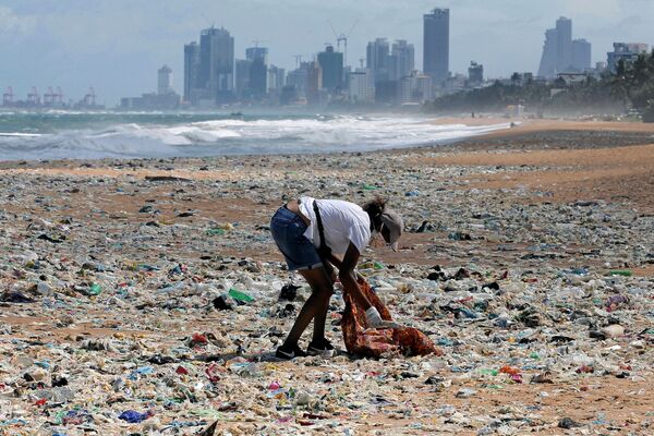 Tình nguyện viên thu gom rác trên bãi biển ở Colombo, Sri Lanka - Sputnik Việt Nam