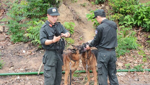 Lực lượng chức năng cho chó nghiệp vụ uống nước - Sputnik Việt Nam