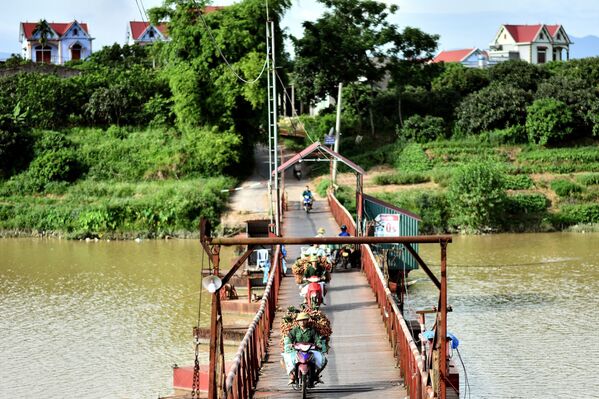 Nông dân Việt Nam chở vải thiều ra chợ - Sputnik Việt Nam