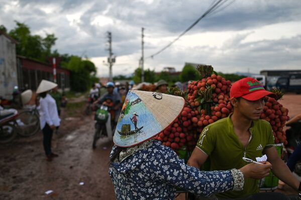 Bán vải thiều tại một chợ ở Việt Nam - Sputnik Việt Nam