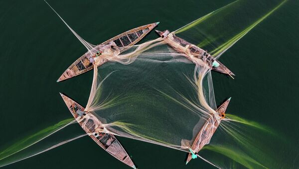 Tác phẩm của nhiếp ảnh gia Abdul Momin Câu cá ở Jamun - Sputnik Việt Nam