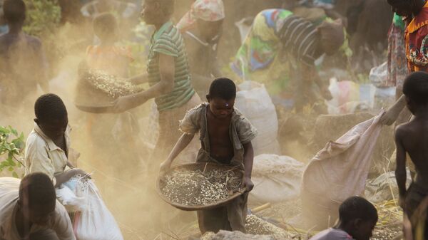 Phụ nữ và trẻ em thu hoạch ngũ cốc ở Malawi. - Sputnik Việt Nam
