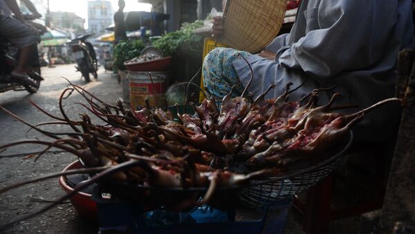 Buôn bán xác chuột ở chợ Hà Nội   - Sputnik Việt Nam