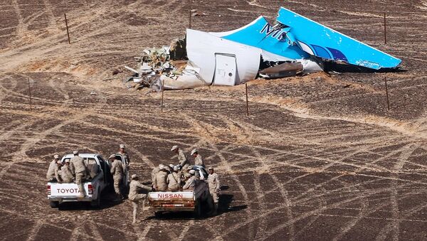 Hiện trường tại nạn máy bay Airbus A321 của Nga tại Ai Cập - Sputnik Việt Nam