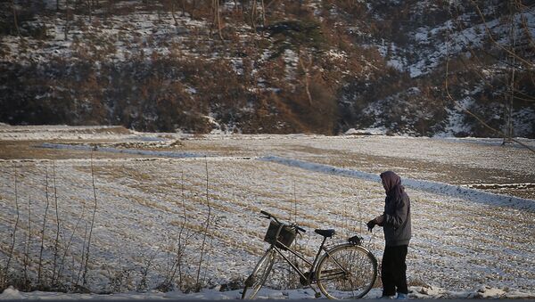 Nữ cư dân Triều Tiên trên cánh đồng tuyết - Sputnik Việt Nam