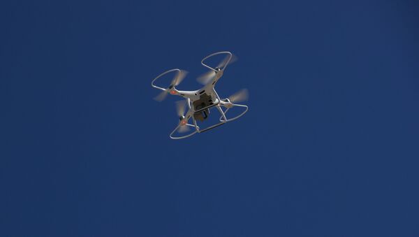 Drone - Sputnik Việt Nam