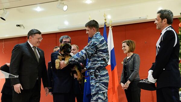 Cảnh sát Nga chính thức chuyển giao chú cún Dobrynya cho các đồng nghiệp Pháp - Sputnik Việt Nam
