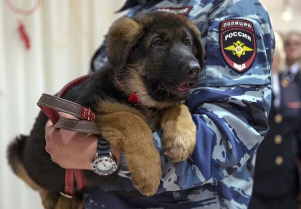 Nhân viên cảnh sát Nga ôm chú cún Dobrynya - quà tặng dành cho cảnh sát Pháp - Sputnik Việt Nam